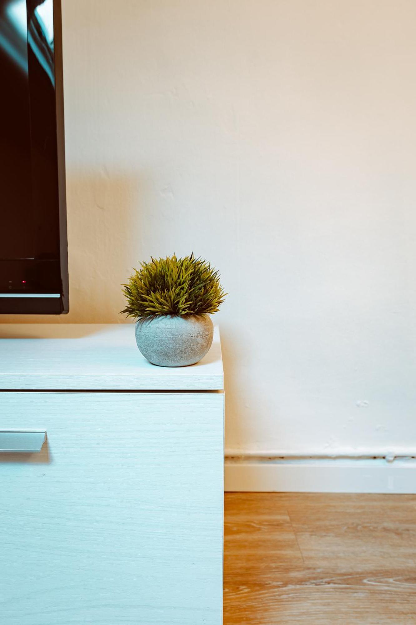Appartement Loft Bligny *
